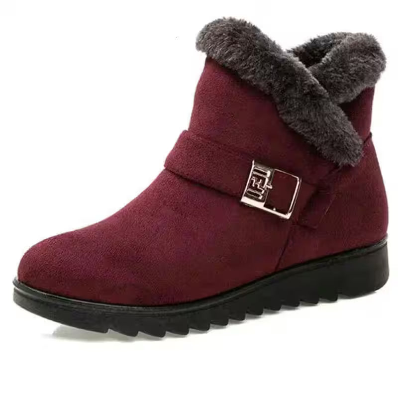 Shoes - Boots Casual for Women