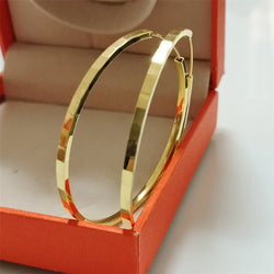 Earrings jewelry