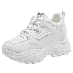 Sneakers Sports Shoes