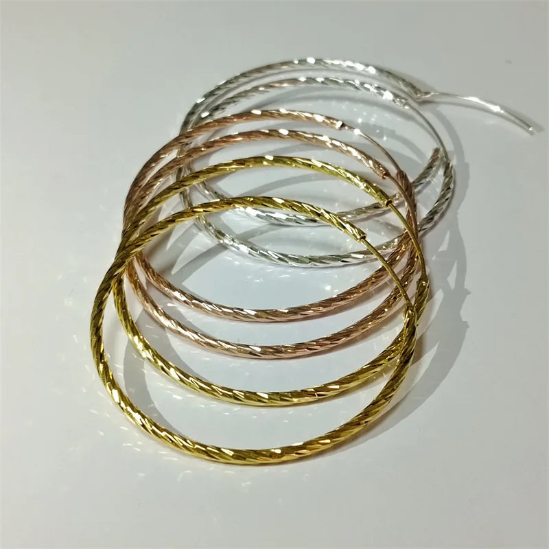 Earrings  jewelry