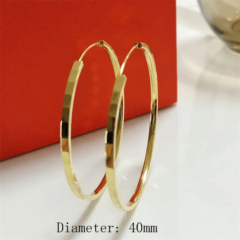 Earrings jewelry