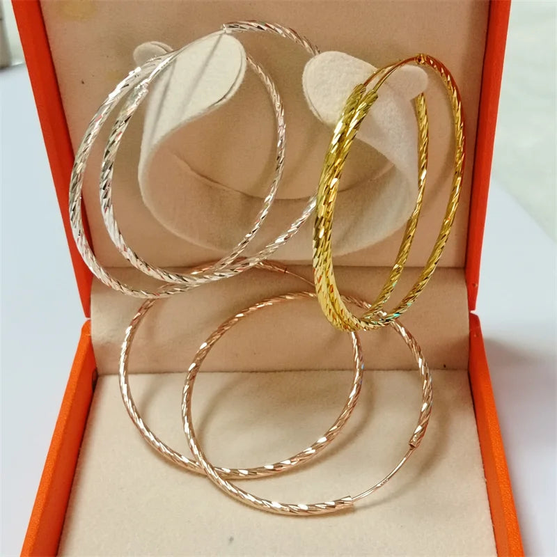 Earrings  jewelry