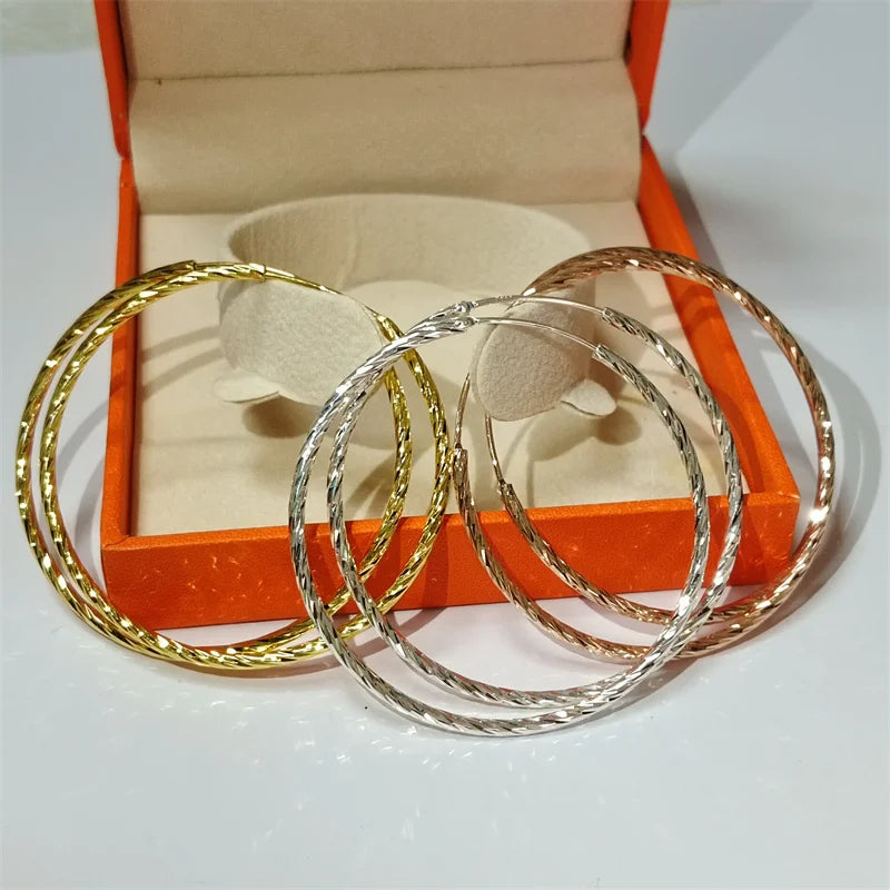 Earrings  jewelry